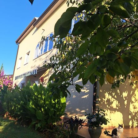 Bozica House With Apartments Murine 외부 사진
