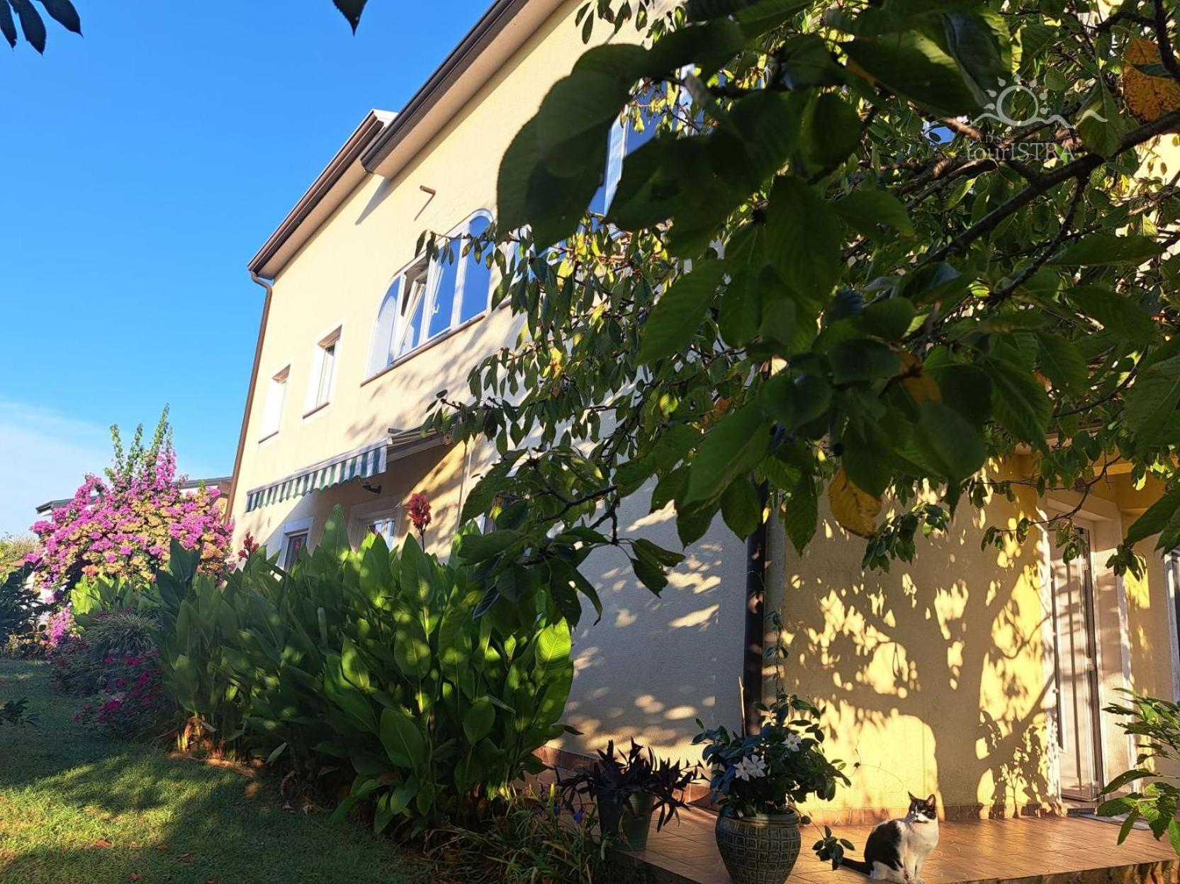 Bozica House With Apartments Murine 외부 사진